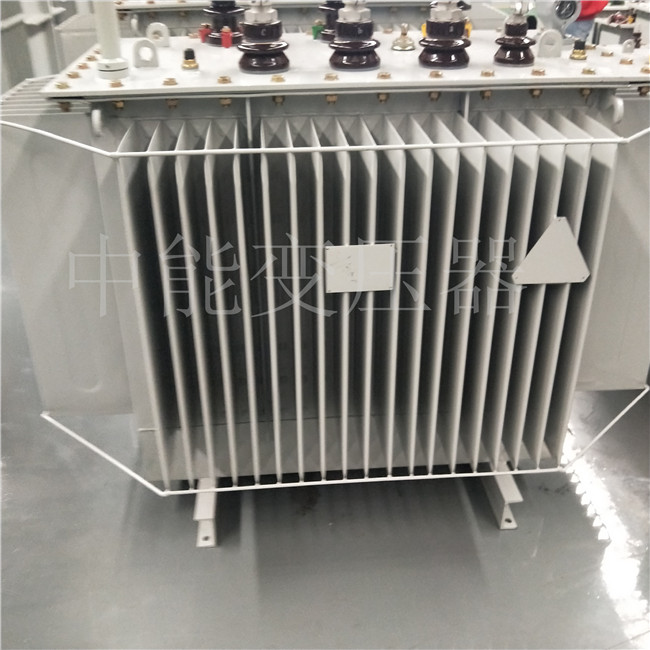 湖北S20-800KVA变压器
