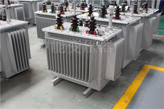 湖北S22-250KVA/10KV变压器